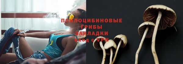 дживик Михайлов