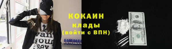 соль ск Михайловск