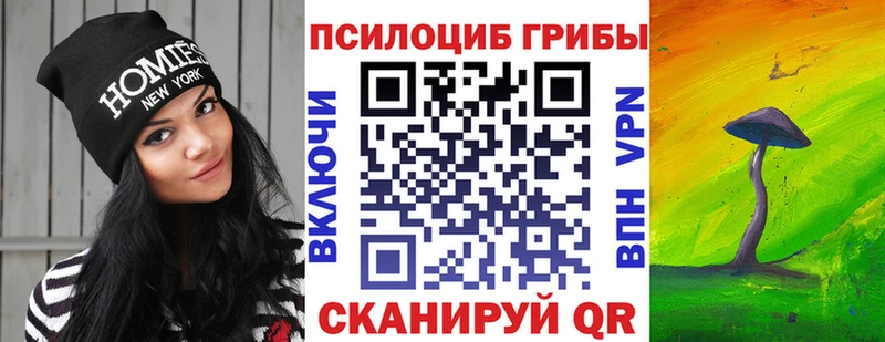 Псилоцибиновые грибы GOLDEN TEACHER Купить где Луга