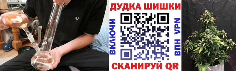 Бошки Шишки Amnesia  Купить где  Луга 